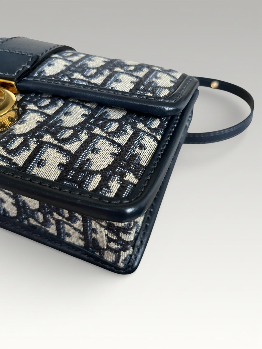 Dior Oblique Jacquard Fabric 30 Montaigne East West Crossbody Bag