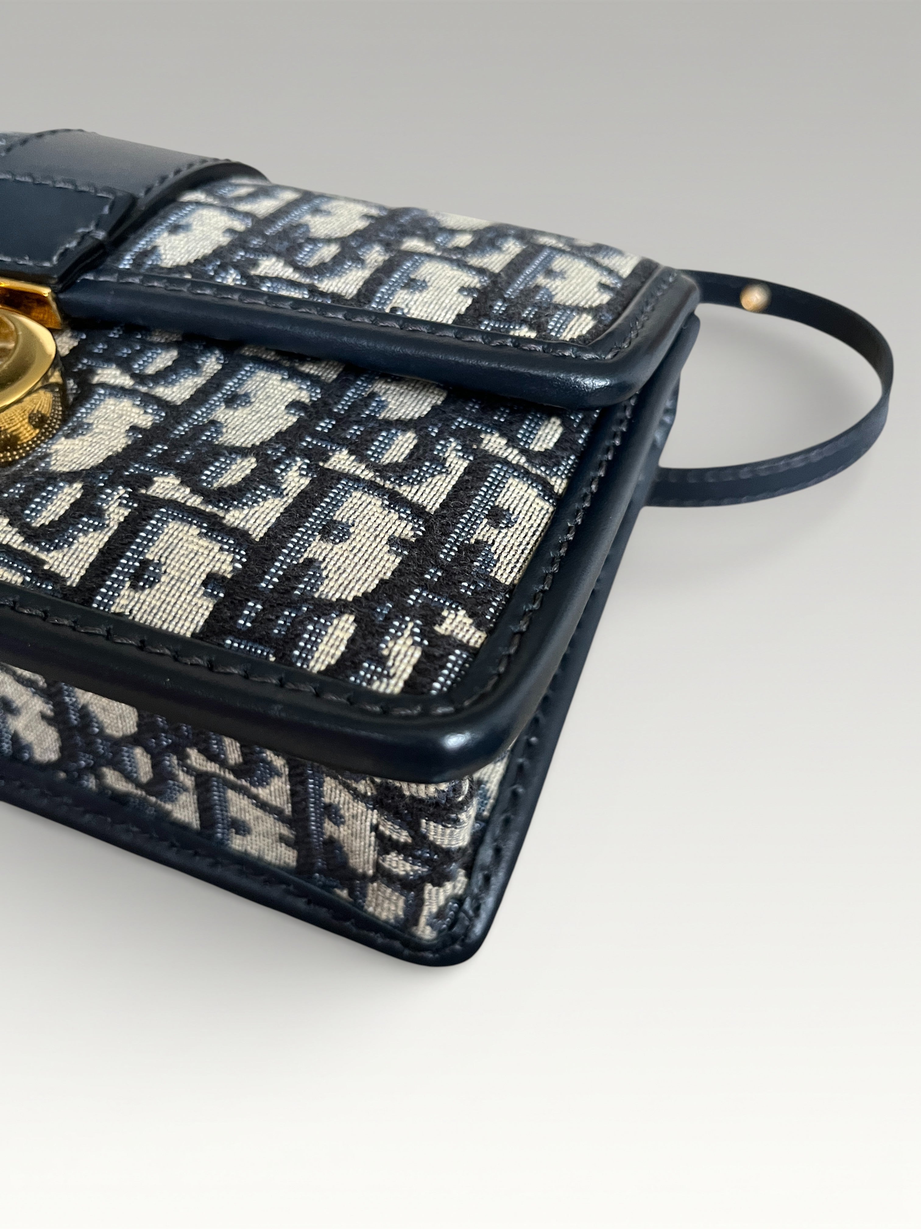 Dior Oblique Jacquard Fabric 30 Montaigne East West Crossbody Bag