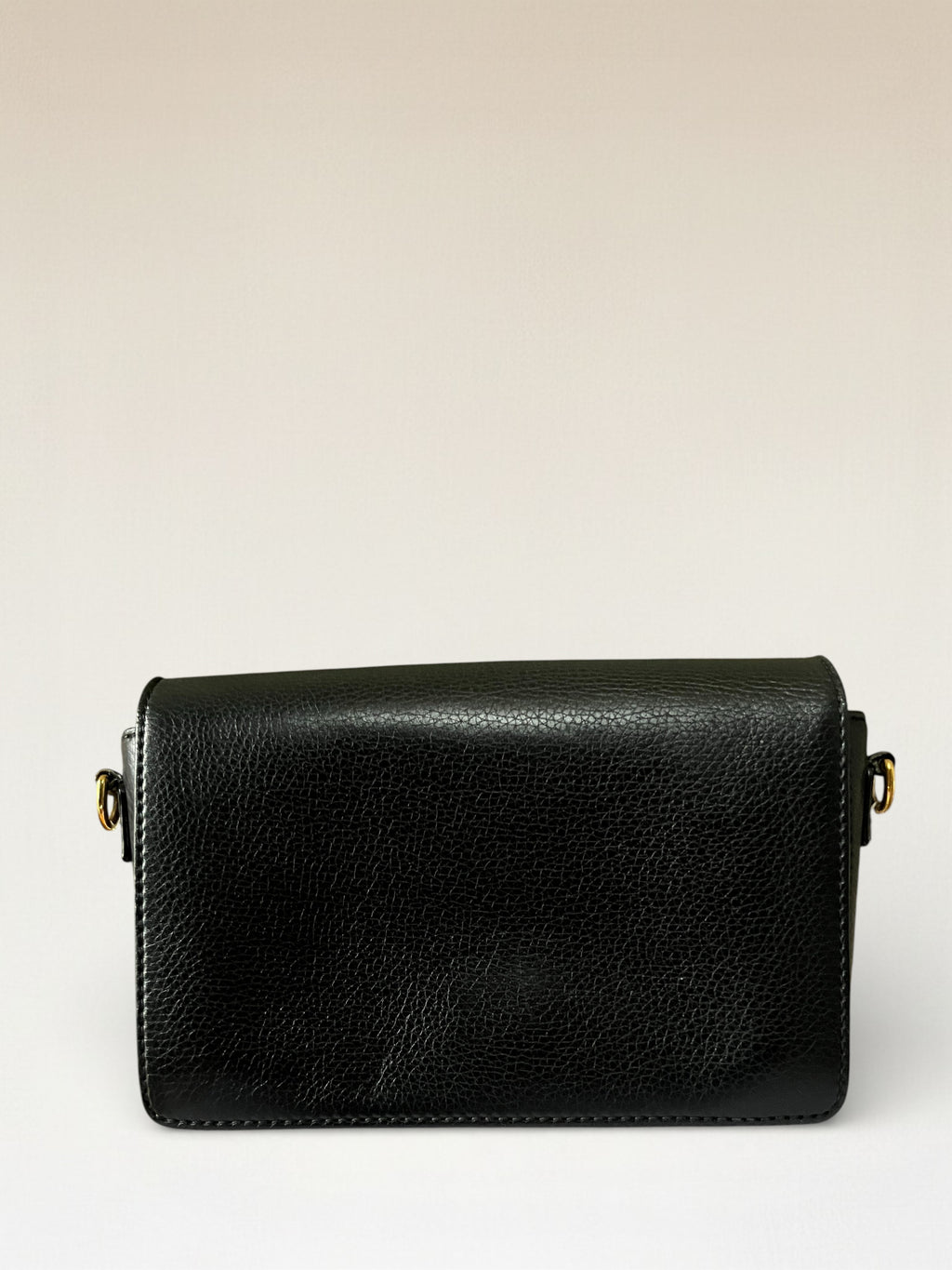 Dior Black Grained Leather Dio(r)evolution Crossbody Bag