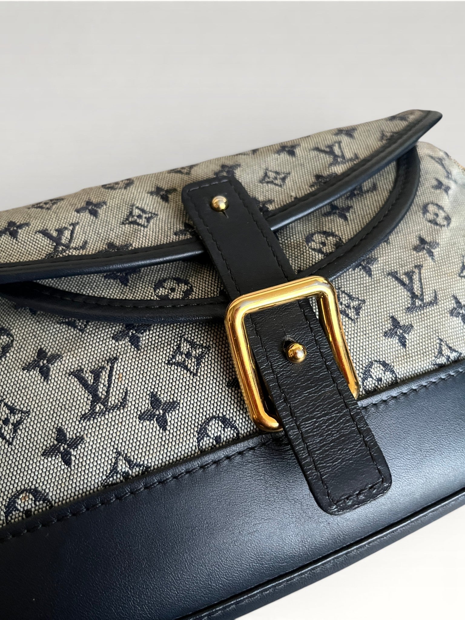 Louis Vuitton Marjorie Canvas And Leather Shoulder Bag