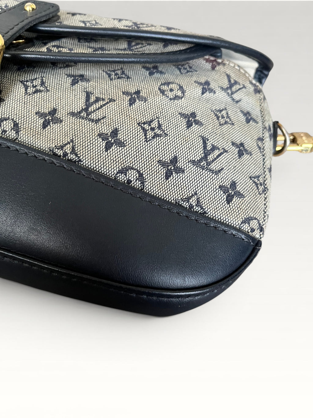Louis Vuitton Marjorie Canvas And Leather Shoulder Bag
