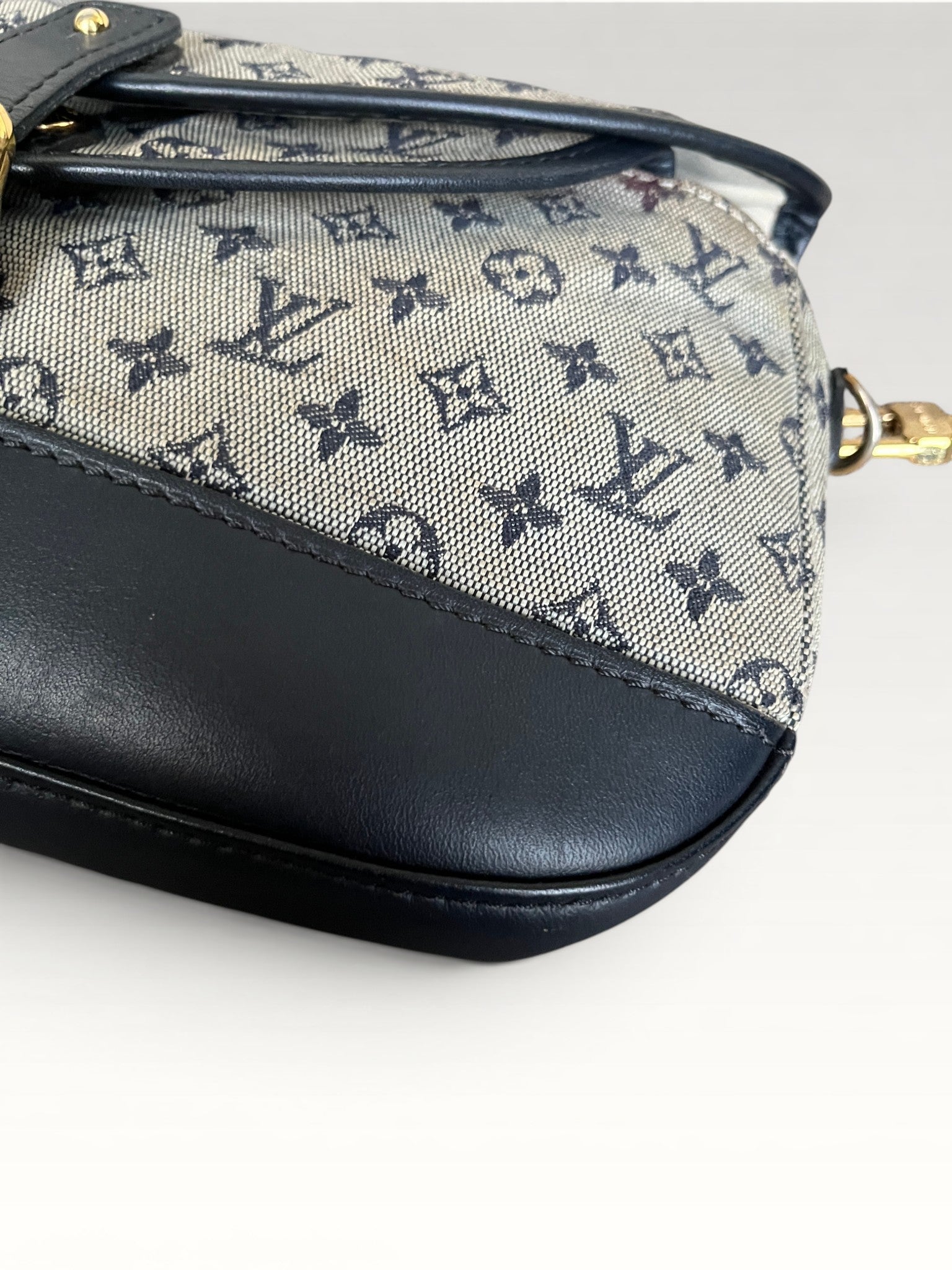 Louis Vuitton Marjorie Canvas And Leather Shoulder Bag