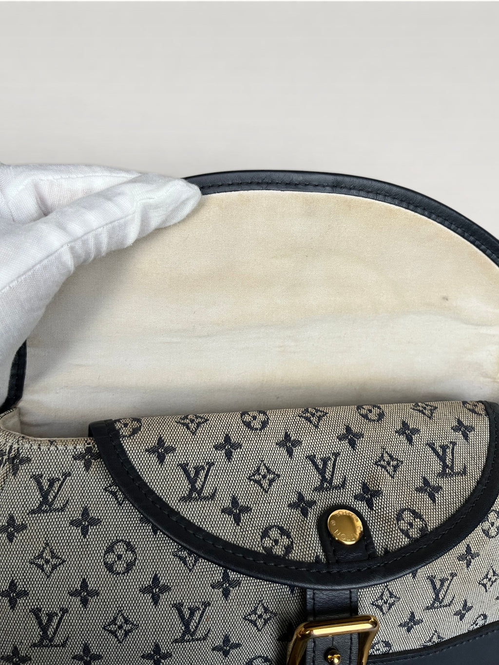 Louis Vuitton Marjorie Canvas And Leather Shoulder Bag