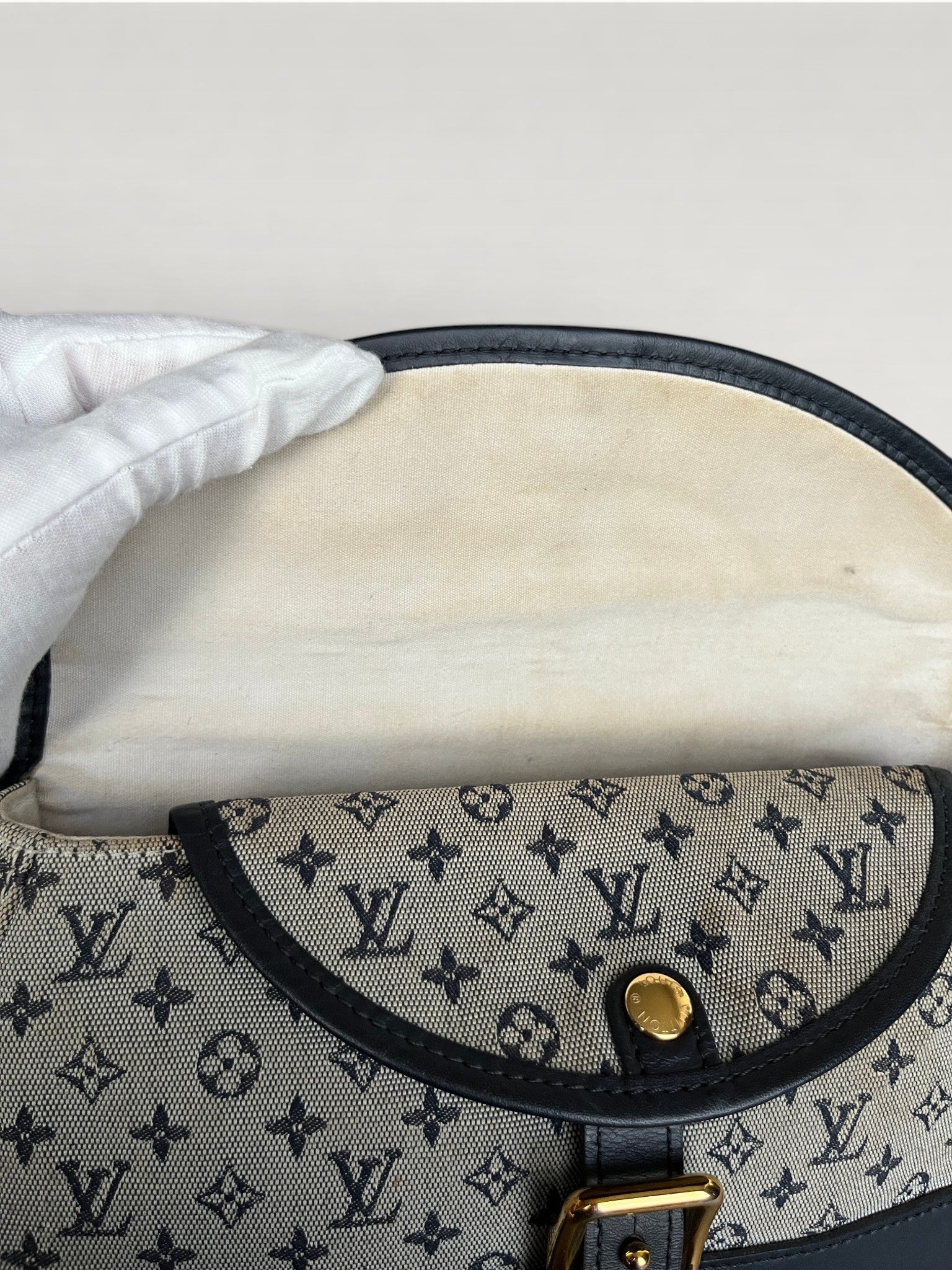 Louis Vuitton Marjorie Canvas And Leather Shoulder Bag