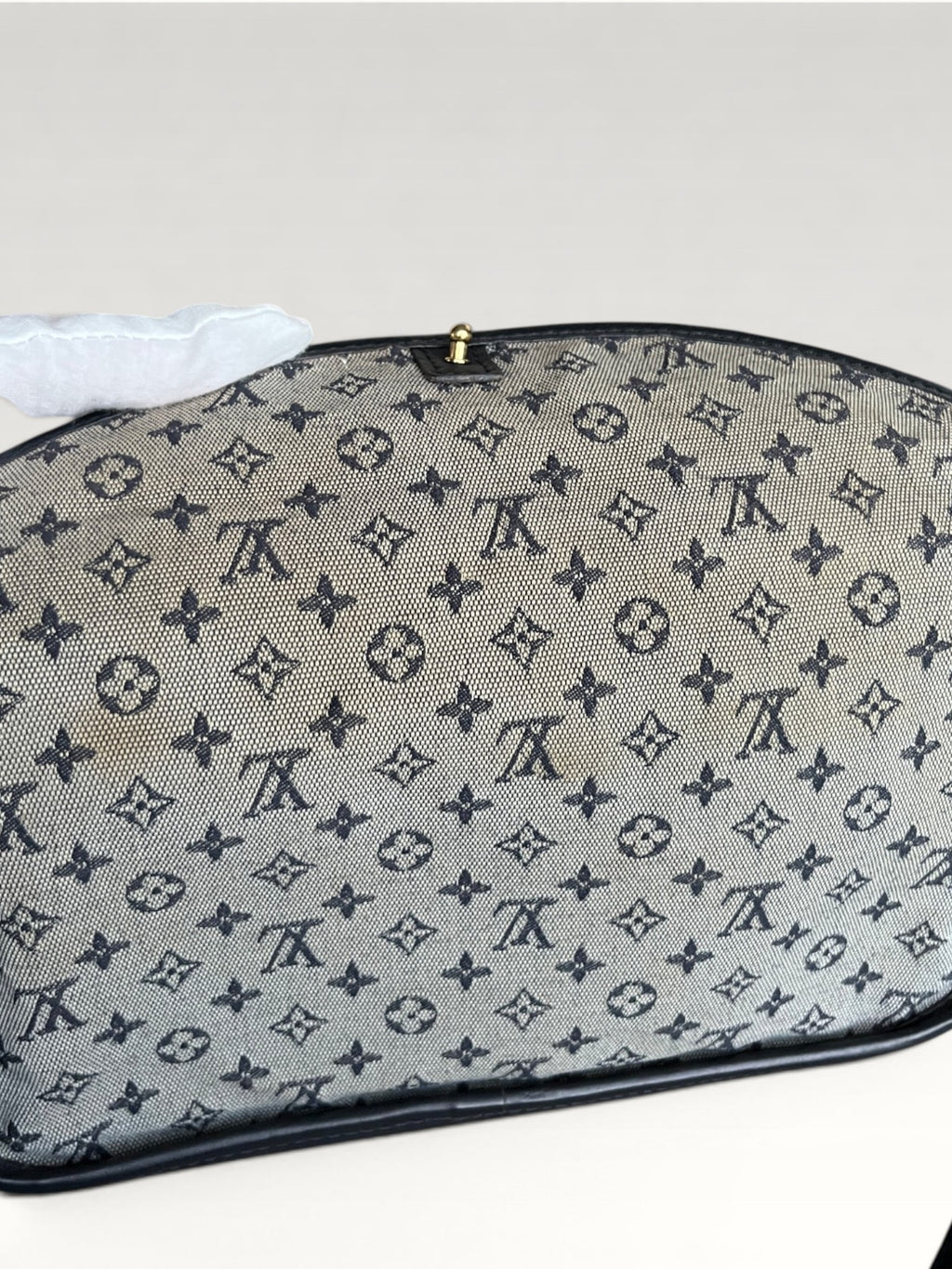 Louis Vuitton Marjorie Canvas And Leather Shoulder Bag