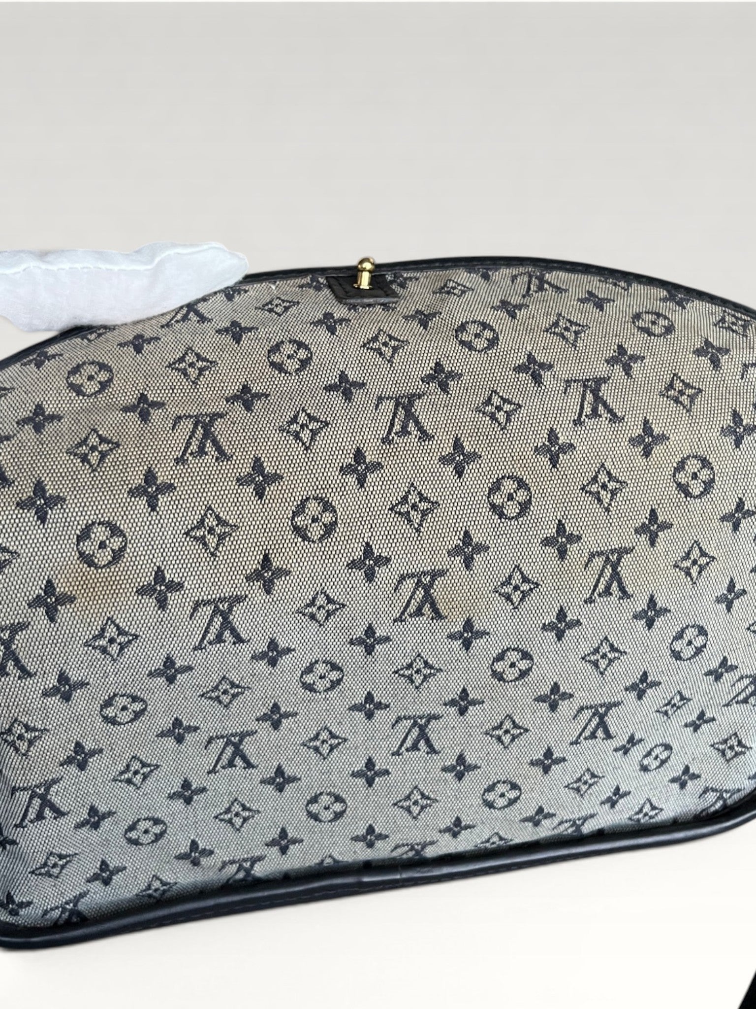 Louis Vuitton Marjorie Canvas And Leather Shoulder Bag
